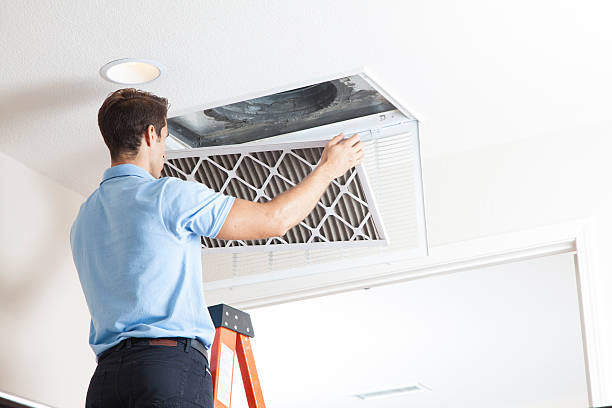 Best Air Filters and Purifiers in Stevensville, MI